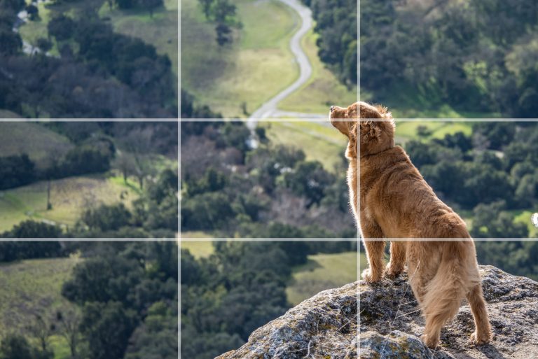 Social Media fotografie - rule of thirds
